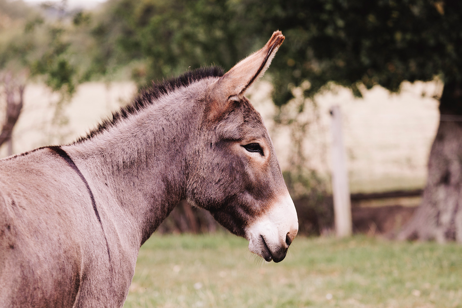Farm Holidays near Chichester
