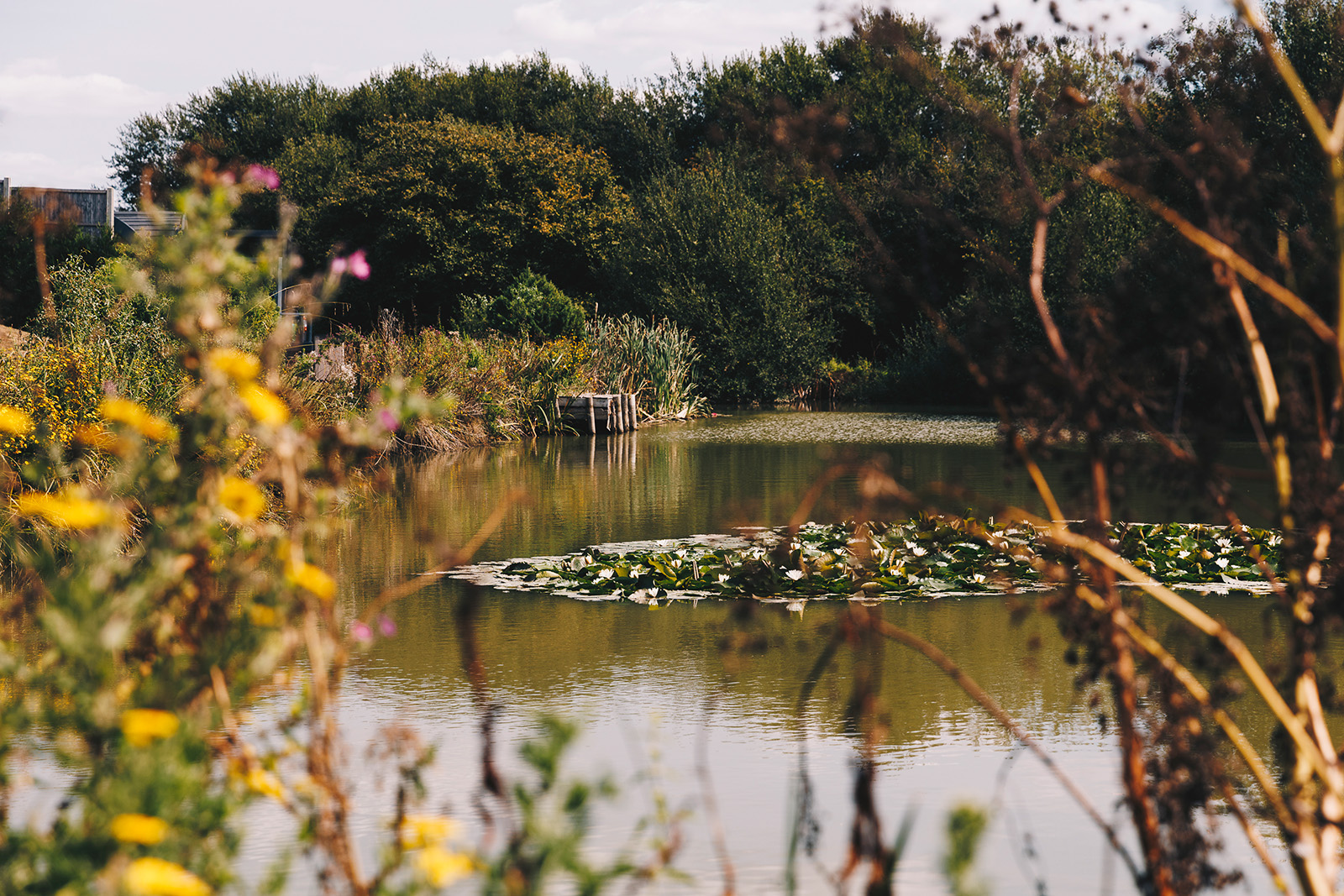 Lakeside Stays in West Sussex