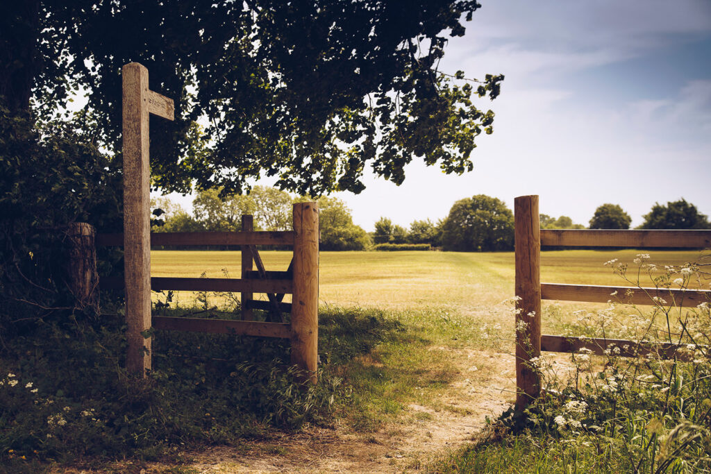 West Sussex Countryside