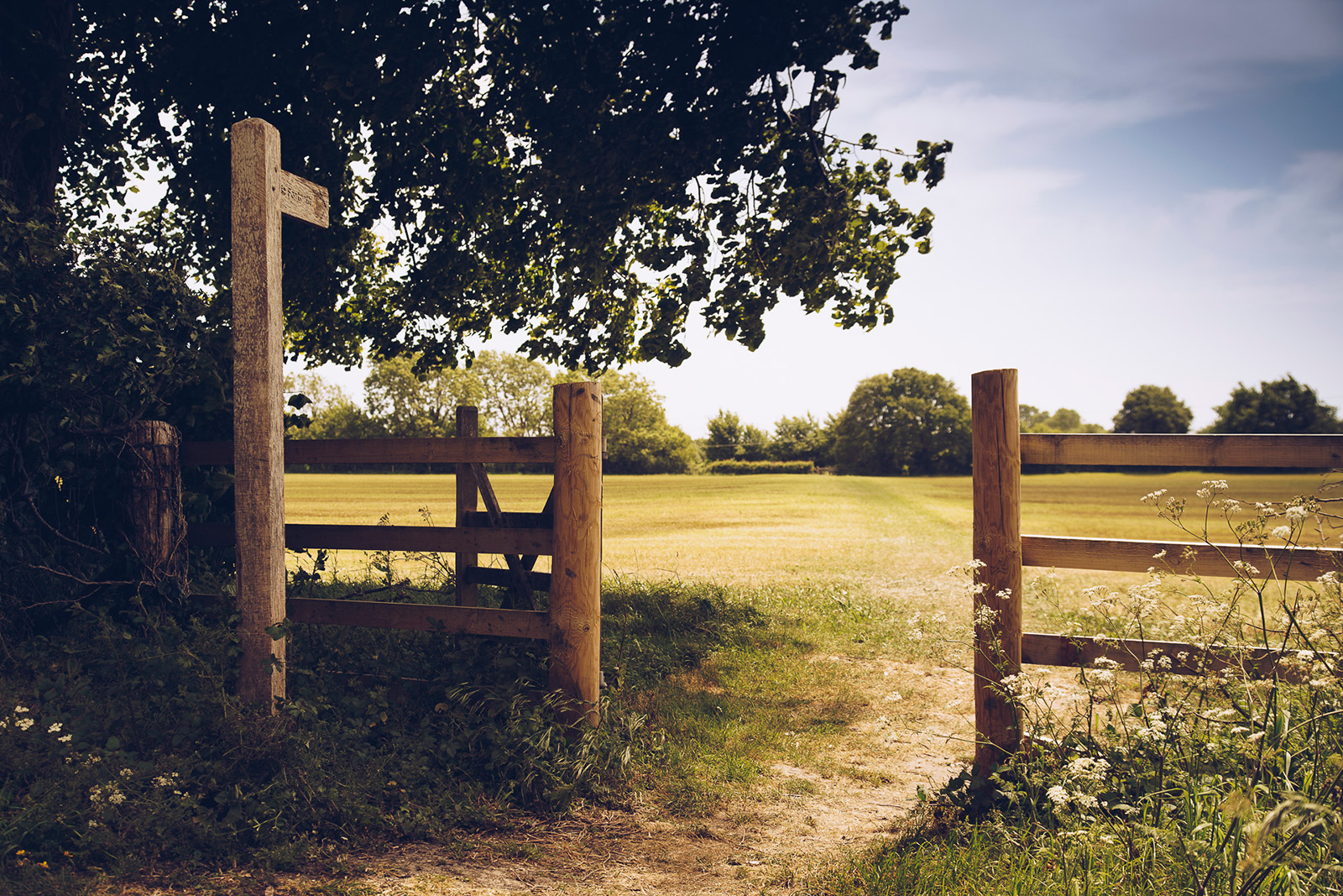 West Sussex Countryside