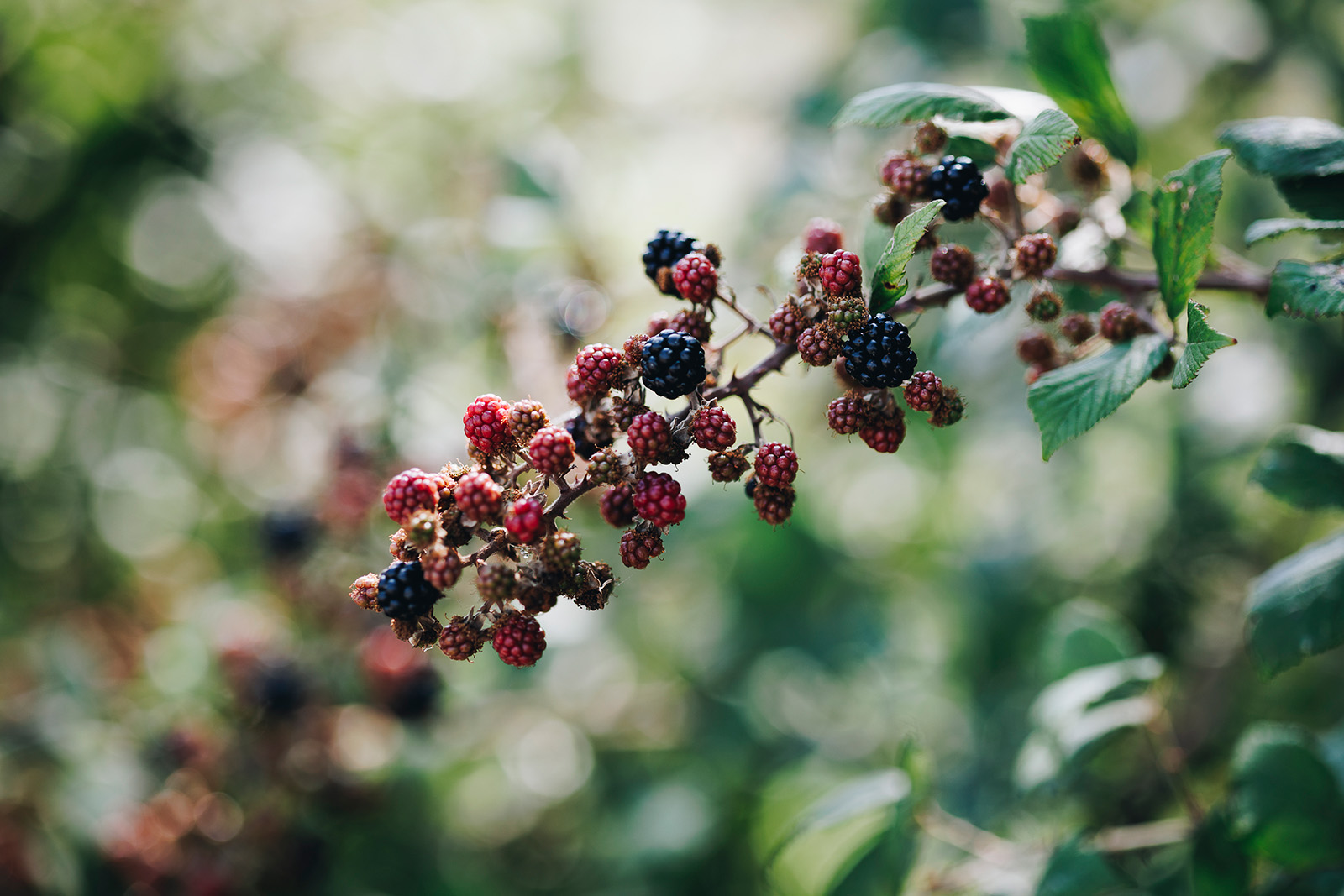 Country Breaks in West Sussex